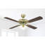 Bloomberg 132cm Ceiling Fan with Light Kit