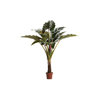 165 cm H Faux Banana Leaf Plant in Plastic Pot