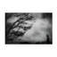 Art sur toile, bol de Teruhiko Tsuchida-109226548