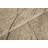Envelope Pumice-131136851