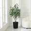 Ficus artificiel George, verdure artificielle protégée contre les rayons UV avec une énorme base décorative pour l'intérieur et l'extérieur-2074737958-2074737959