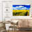 Alvord Flower Field