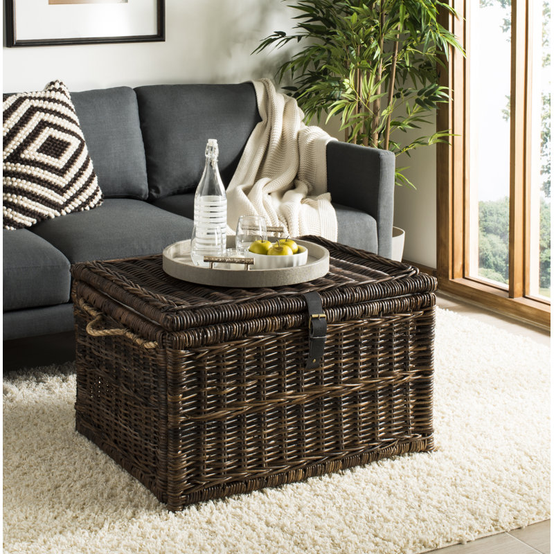 Coffre en osier Caden, Brun, H 18,3 po x l 29,9 po x P 23,6 po