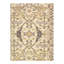 Wool Oriental Area Rug in Ivory