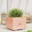 9 Wood Planter-100492045-100492046