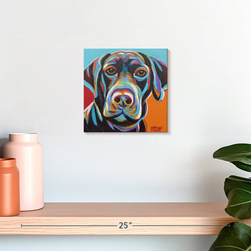 Brampt Dog Friend II