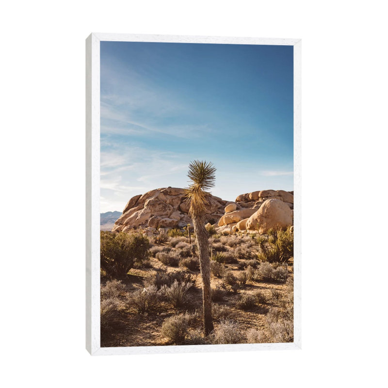 Joshua Tree National Park XVII by Bethany Young - Print on Canvas, 101.6cm H x 66.04cm W x 3.81cm D, White Framed