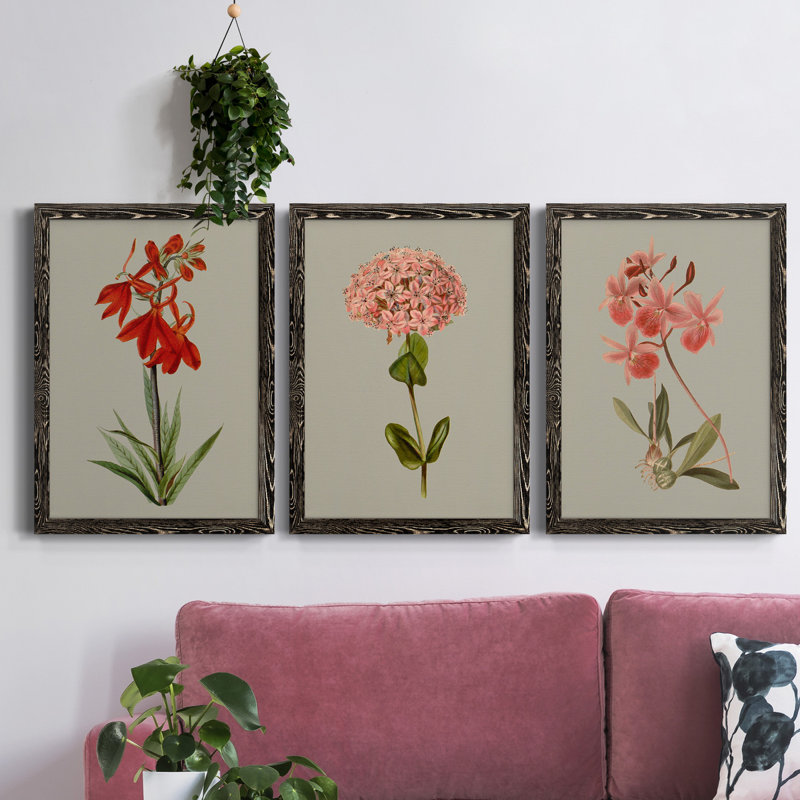 «Botanical Array VII», ensemble de 3 reproductions d'art sur toile, H 31,5 po x l 47 po x P 1,5 po, Toile avec cadre noir