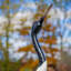 Statue de jardin Keelen