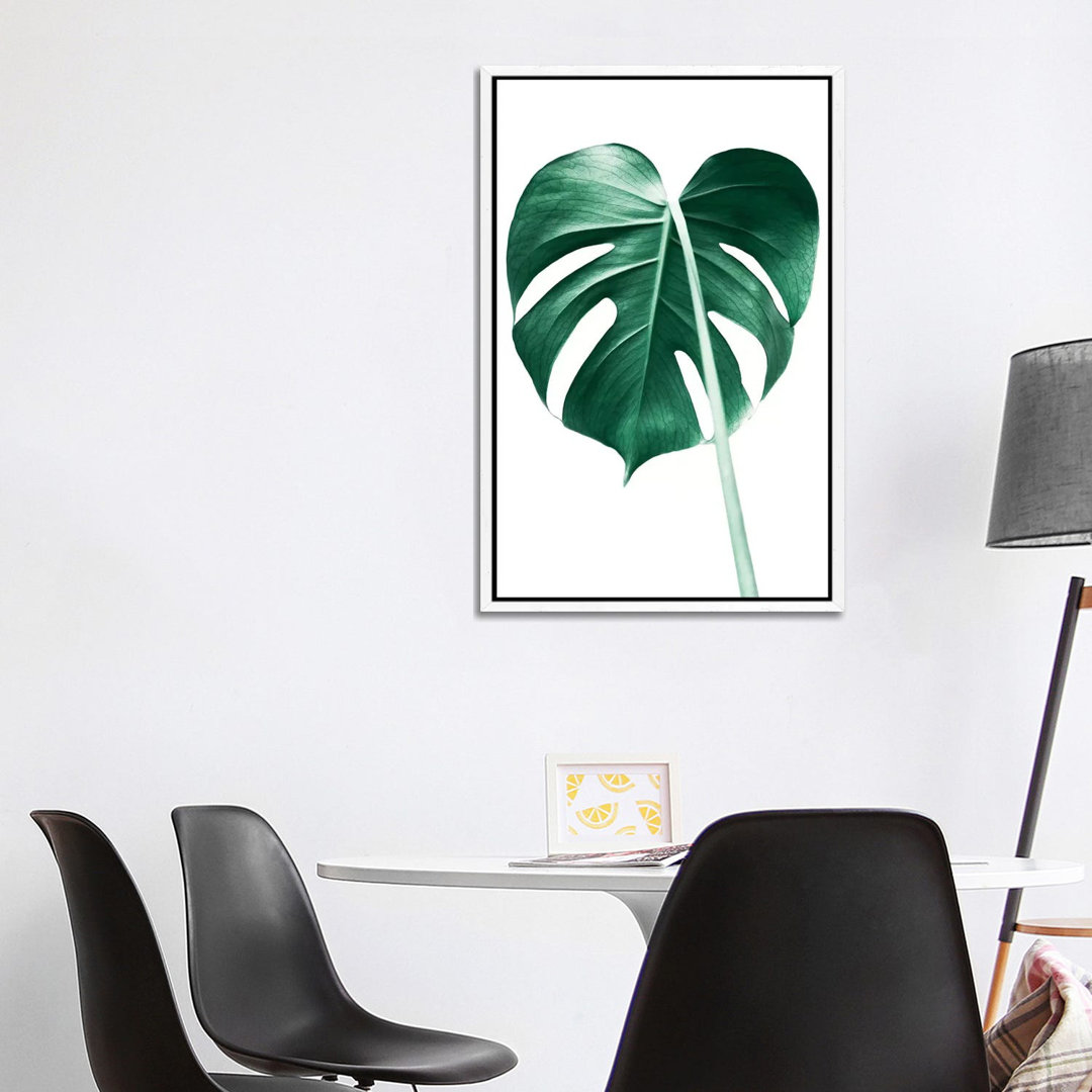 Monstera Leaf