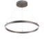 Anillo Halo 1 - Light LED Pendant