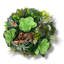Conception succulente dans un vase circulaire en bois texturé brun clair