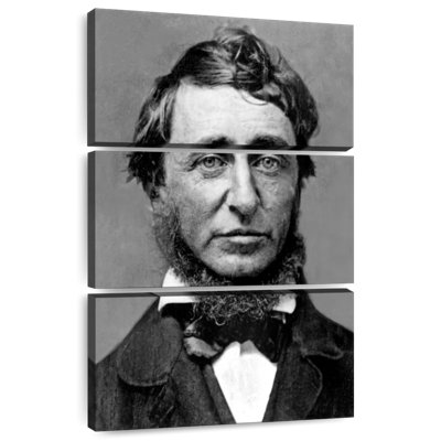 Leisha Henry David Thoreau