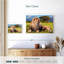 Lion Chill Safari-107704723