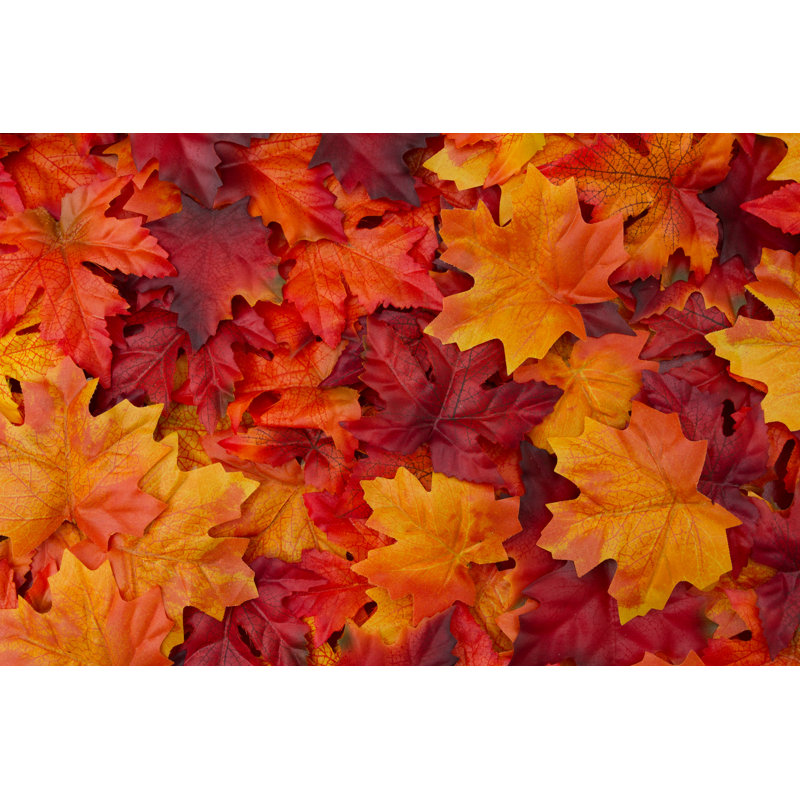 Autumn Leaves Background by Kroach - Wrapped Canvas Print, 30cm H x 46cm W