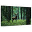 Wapiti en forêt