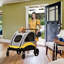 Pennard Pet Jogger Stroller-501254614