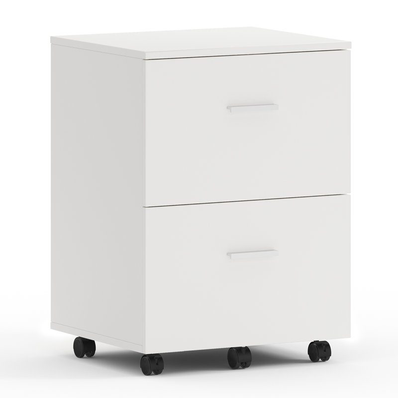 Demetres 2 Drawer Storage Drawer, White