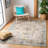 Felty Oriental Grey / Gold Area Rug-929217525