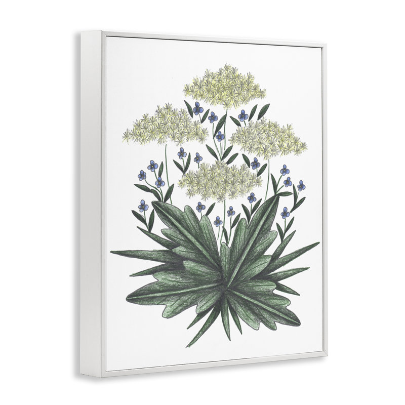 «New Roots», une esquisse rétro giclée par Cecilia Battaini, H 14 po x l 11 po, Estampe numérique encadrée blanc bord de mer
