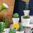 2.25'' Faux Cactus Succulent in Cement Pot