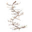 Spiral Branch Chandelier