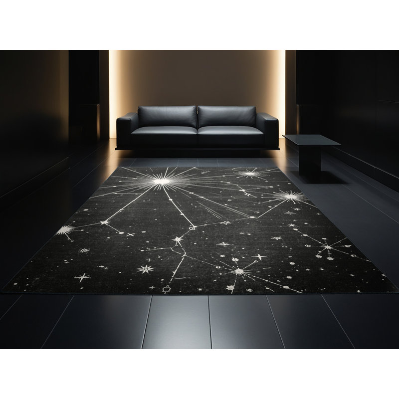 Tapis gris moderne et contemporain lavable à la machine Pavle, 4 x 6