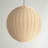 Raina 1 - Light Single Pendant
