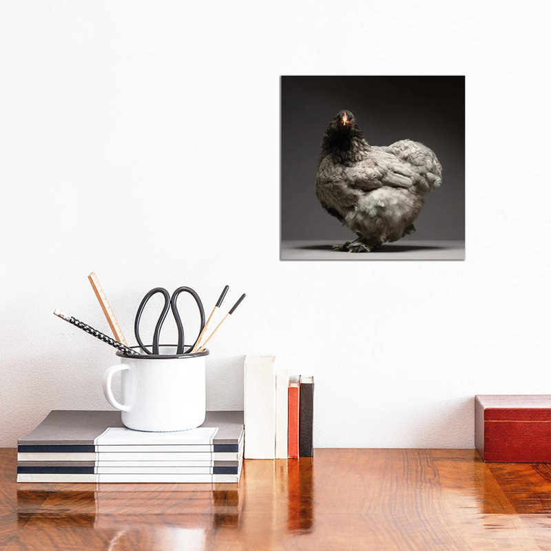 Brahma - Wrapped Canvas Print, 30.48 cm H x 30.48 cm W