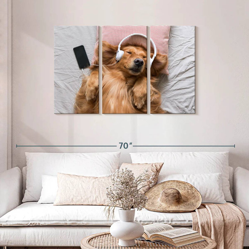 Golden retriever de Brampt, H 20 po x l 33 po
