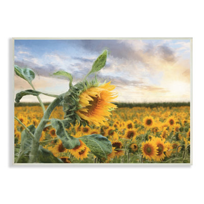 Tournesols jaune vif dans un champ de soleil ensoleillé par Lori Deiter - photographie
