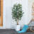 Adcock UV Protected Artificial Ficus Tree with Decorative Base, Faux Ficus Plant with Natural Trunk-1914722521-1914722526