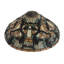 Jeweled Grape Empire Lamp Shade