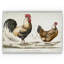 « coq sketch i », reproduction d’impression sur toile tendue-22188174-28078140-28078142