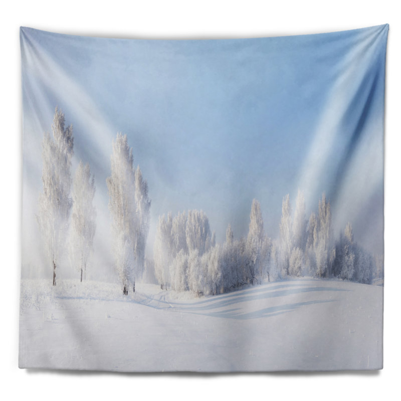 Photographie de paysage arbres d'hiver recouverts de tapisserie de gel, H 32 po x l 39 po