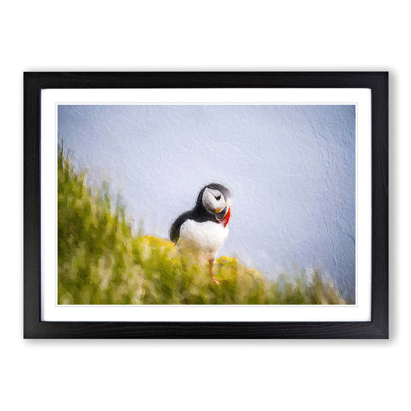 Lone Atlantic Puffin - Picture Frame Painting Print, 27cm H x 36cm W x 2cm D, Black Framed