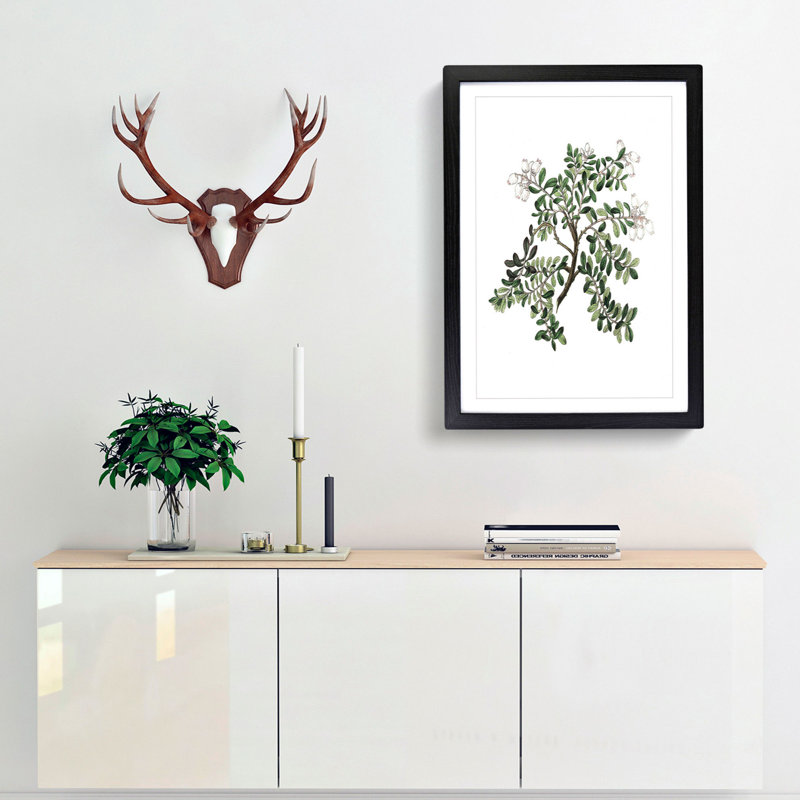 Bearberry Flowers Illustration 1 Piece Single Picture Frame Painting, 45cm H x 33cm W x 2cm D, Black Framed
