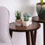 Myrtletown Plant Stand - Set of 2