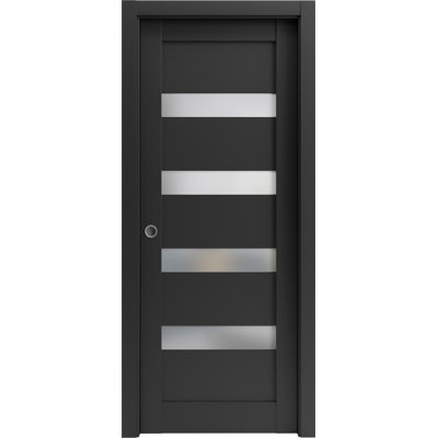 Porte coulissante en verre givré noir Quadro