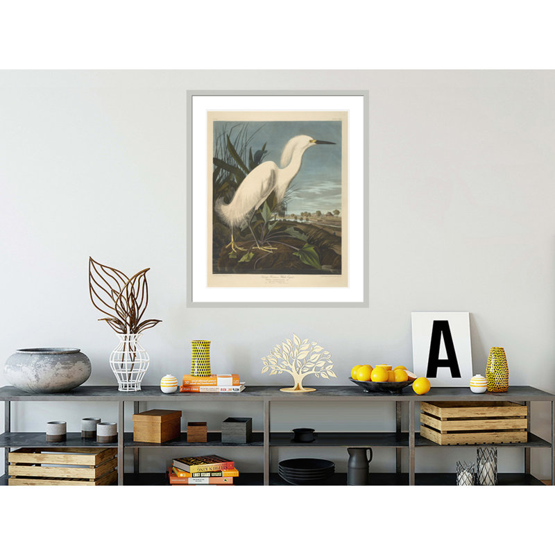 Héron enneigé ou aigrette blanche des oiseaux d'Amérique par John James Audubon, impression giclée encadrée