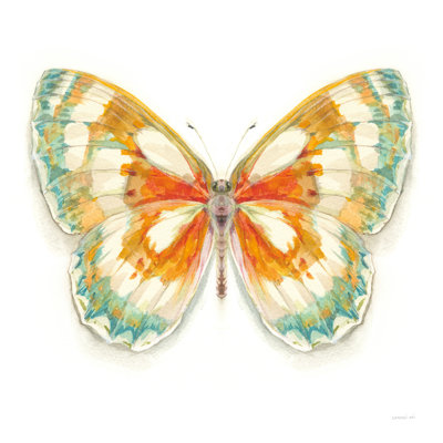" Fragile Wings Butterfly II "