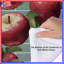 Édredon rouge avec pommes Red Bed-123059104