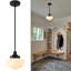 Luminaire suspendu simple à 1 lumière Tadesha-1472579767