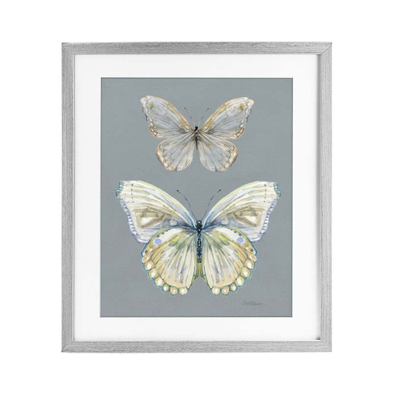 Étude de papillons par paire sous verre, conception par Carol Robinson, Cadre de ferme gris sous verre Farmhouse