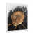 Blanc n'est pas disponible
