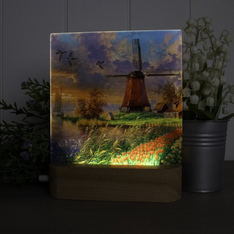 Tulip Farm LED Nightlight