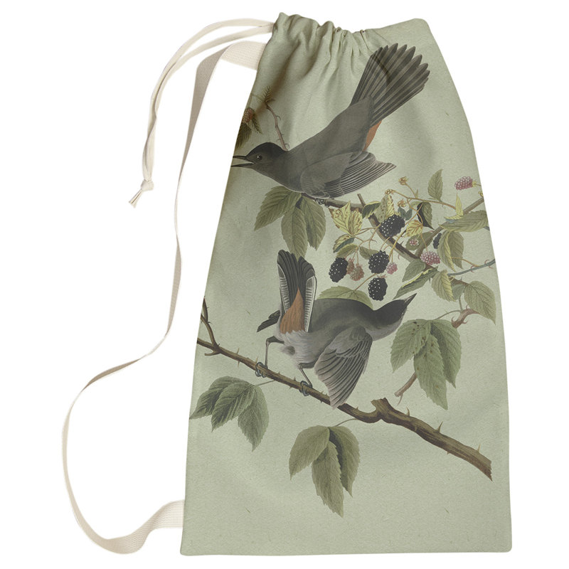 Sac à linge pour chat oiseau Maciejewski, Grand (H 76,5 po x l 29,5 po x P 1,5 po), Vert