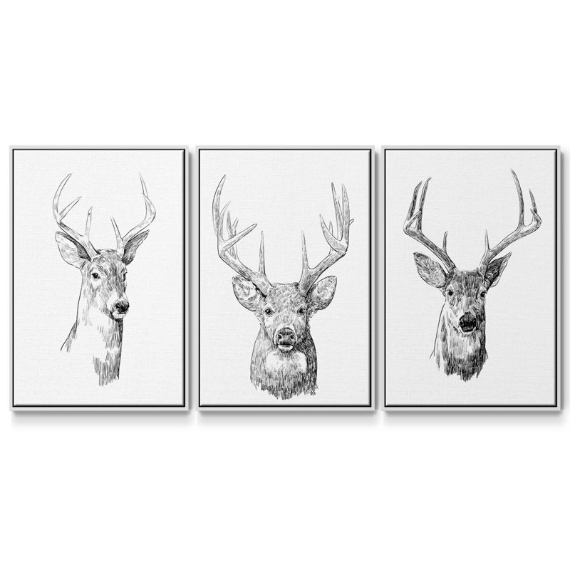 Young Buck S croquis I - ensemble de 3 reproductions sur toile, H 27 po x l 54 po, Blanc
