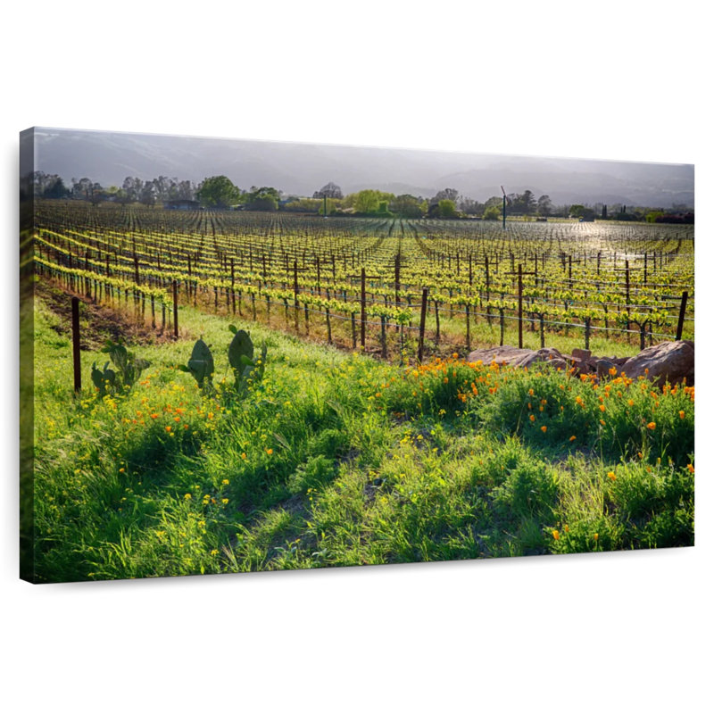 Alvord Sunrise In The Vineyard, H 32 po x l 48 po