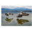 « pelicans flying », reproduction d’impression sur toile tendue-30393258
